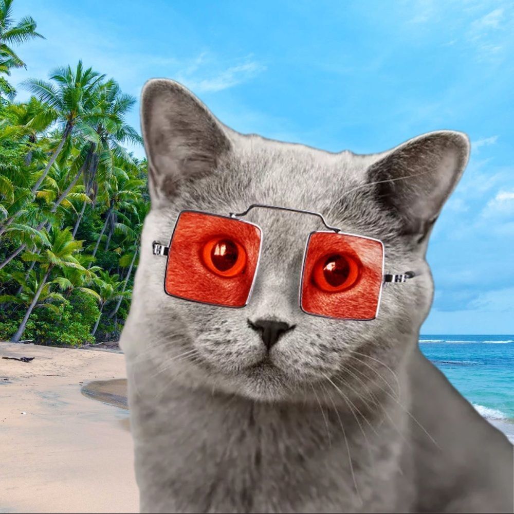 ⛔️CLEARANCE⛔️ Square Pet Sunglasses